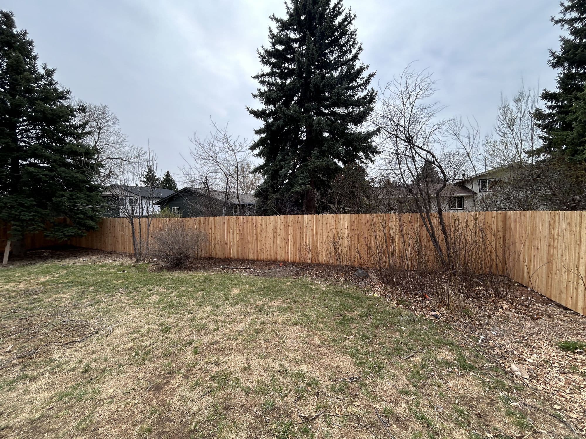New wood privacy fence line along a backyard property edge